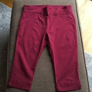 Alfred Dunner Stretch Red Capris Size 12